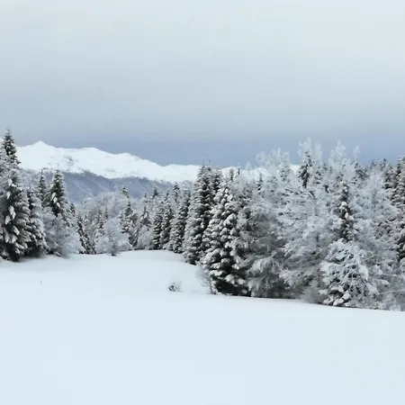 Hébergement de vacances Home- Mountain Gorjuse Pokljuka Bohinj *