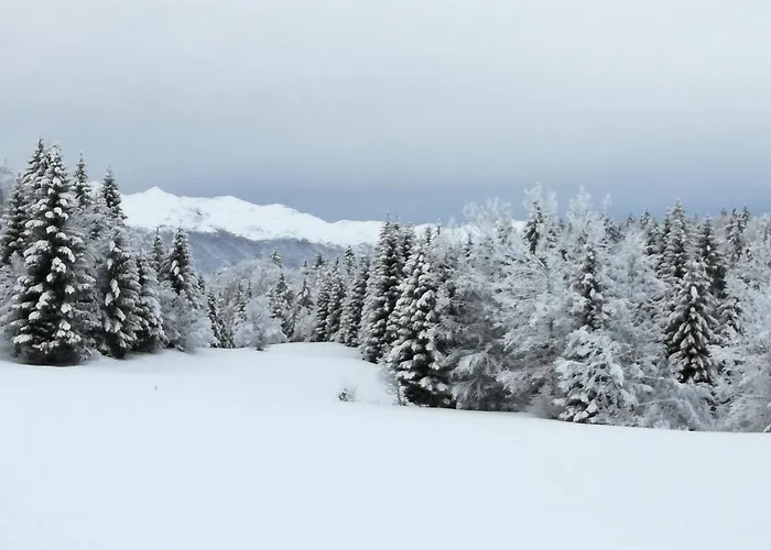 Vakantiehuis Home- Mountain Gorjuse Pokljuka Bohinj *