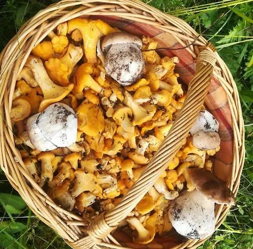 Ferienhaus Home- Mountain Gorjuse Pokljuka Bohinj *